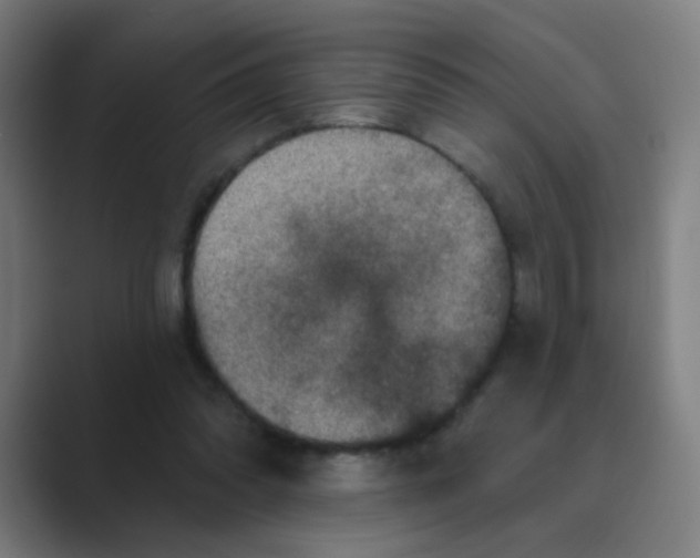 X0000088670302200706281927