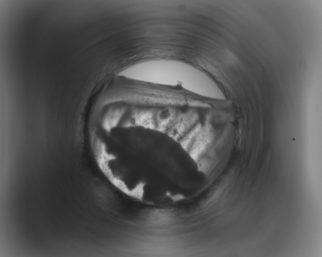 X0000088670303200706281927