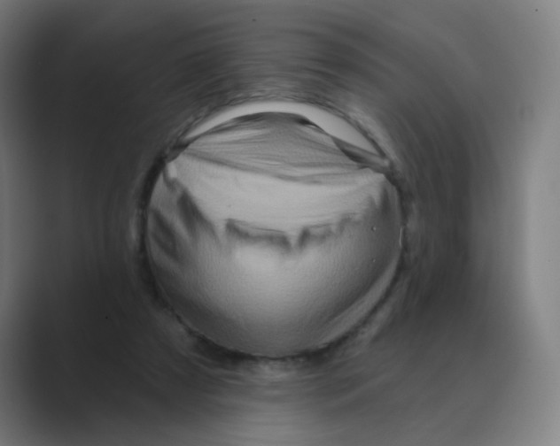 X0000088670305200706281927