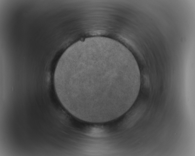 X0000088670308200706281927