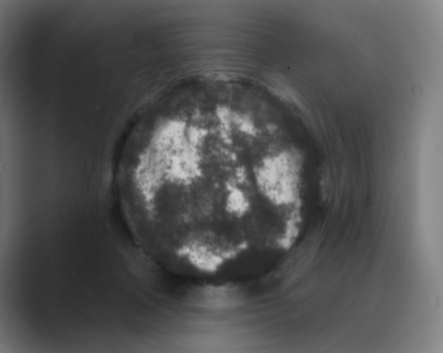 X0000088670314200706281927