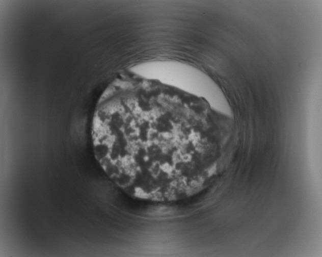 X0000088670319200706281927