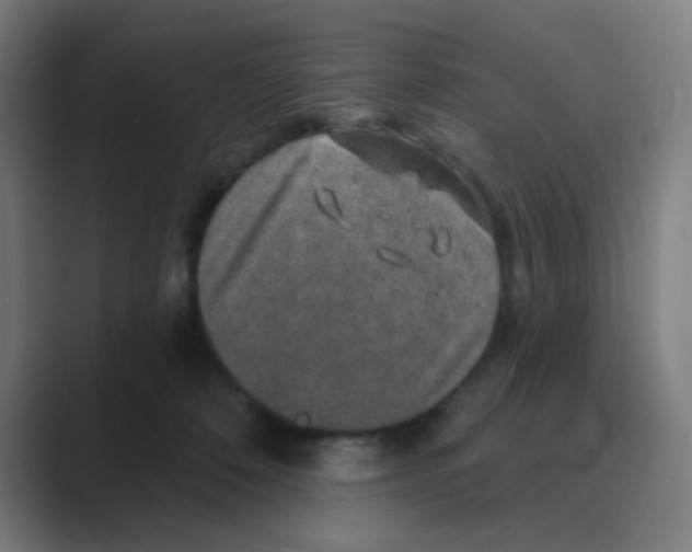 X0000088670320200706281927