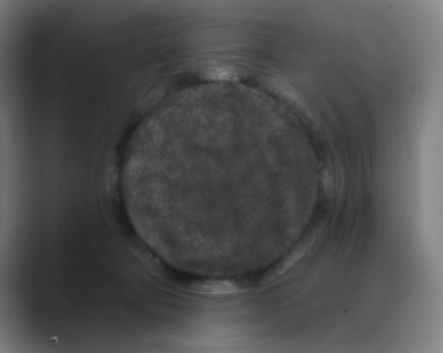 X0000088670322200706281927