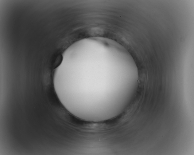 X0000088670323200706281927