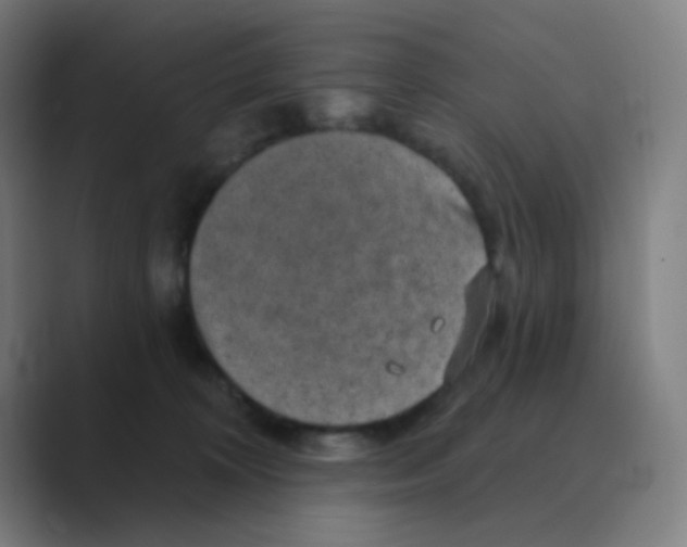 X0000088670324200706281927