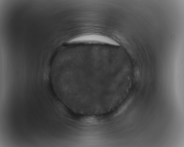 X0000088670325200706281927