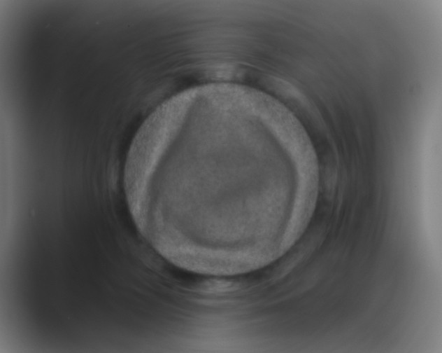 X0000088670326200706281927