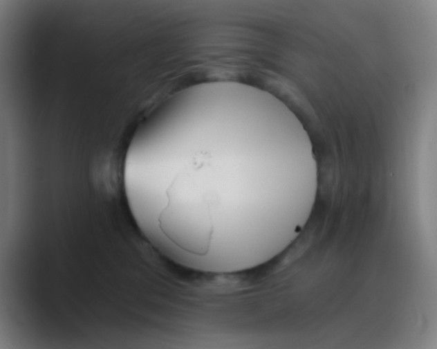 X0000088670329200706281927
