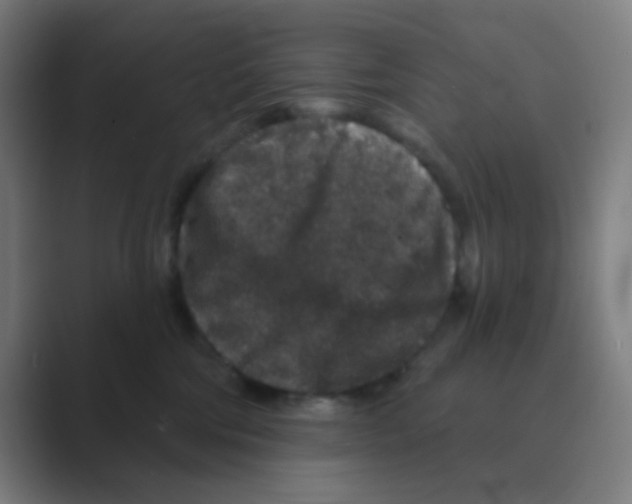 X0000088670330200706281927