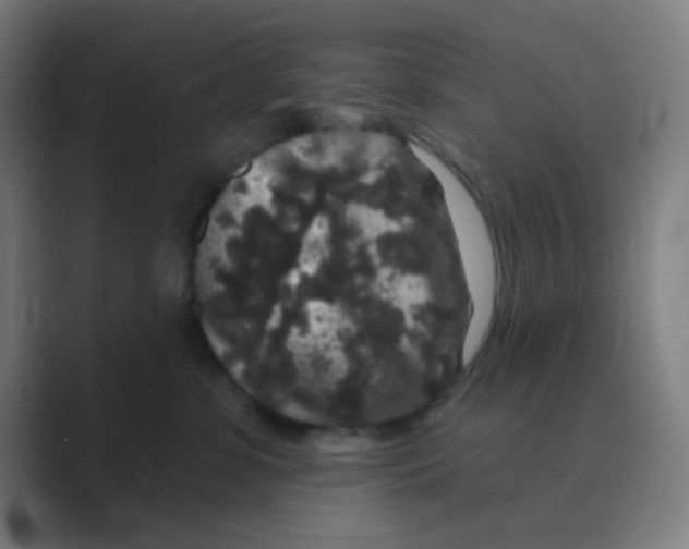 X0000088670331200706281927