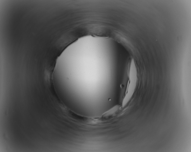 X0000088670333200706281927