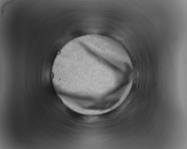 X0000088670334200706281927
