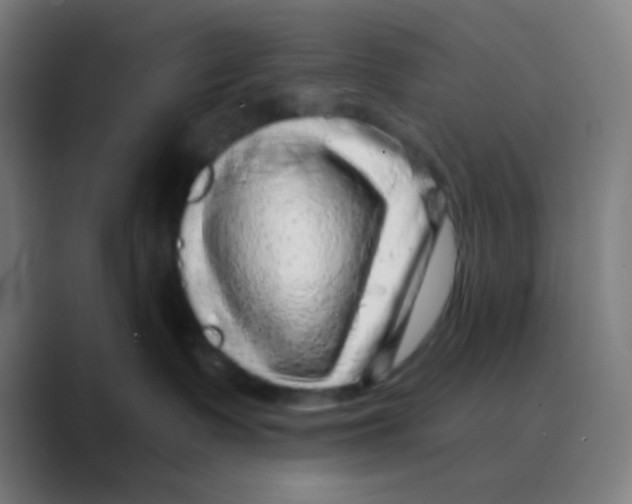 X0000088670335200706281927