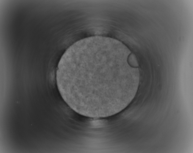 X0000088670336200706281927