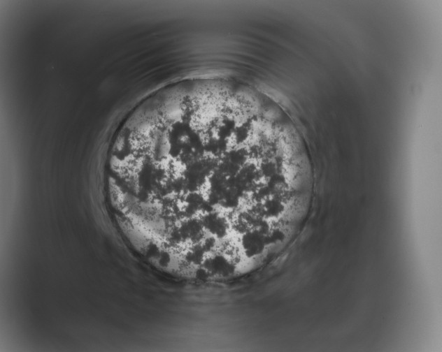 X0000088670337200706281926