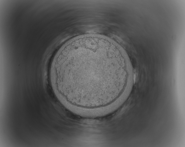 X0000088670339200706281926