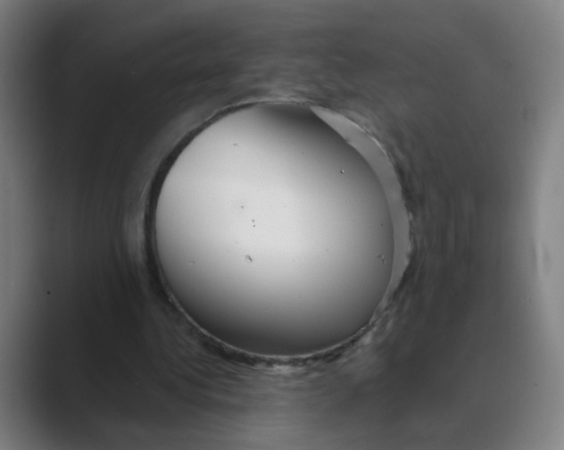 X0000088670340200706281926