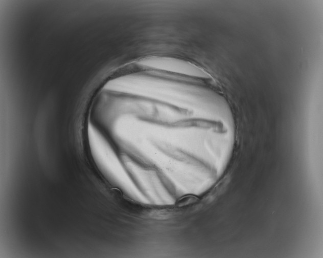 X0000088670341200706281926