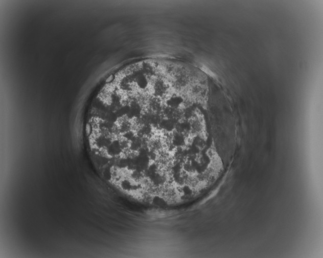 X0000088670343200706281926