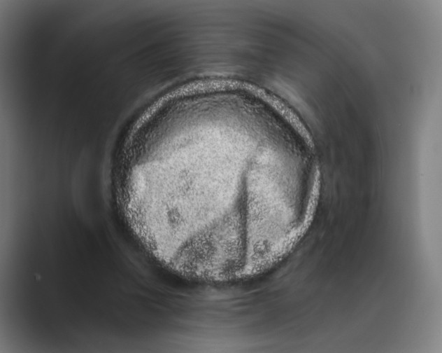 X0000088670346200706281926