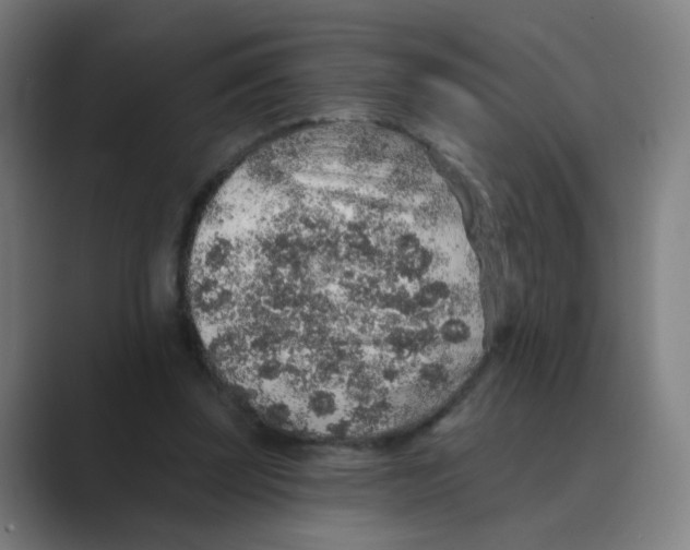 X0000088670347200706281926