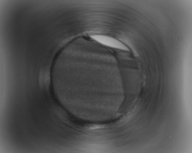 X0000088670348200706281926