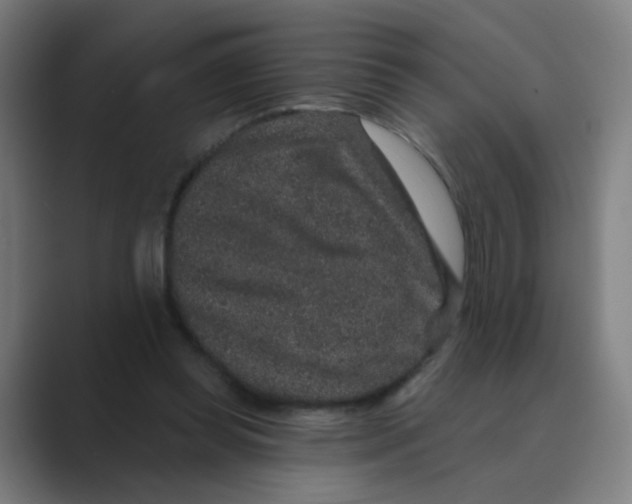 X0000088670349200706281926