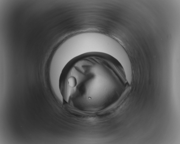 X0000088670350200706281926