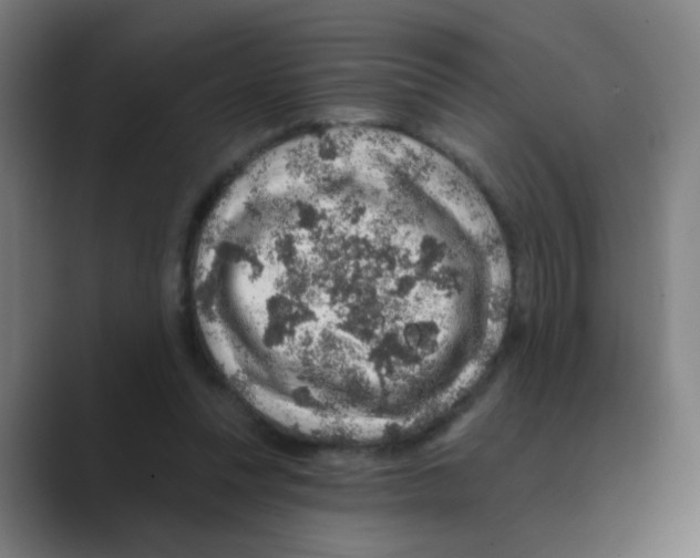 X0000088670351200706281926