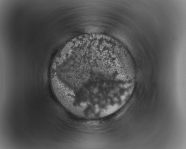 X0000088670353200706281926