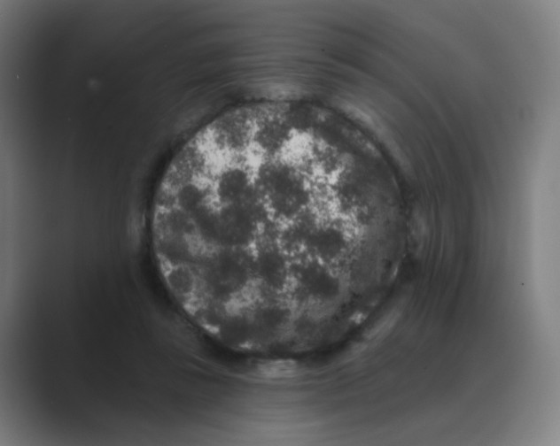 X0000088670355200706281926