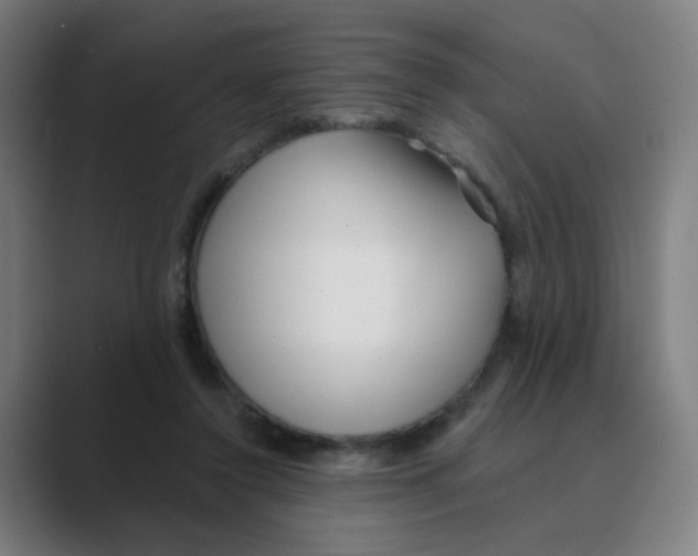 X0000088670356200706281926