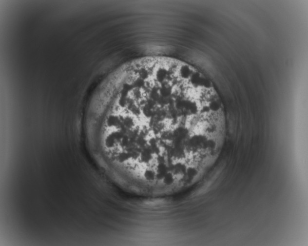 X0000088670357200706281926