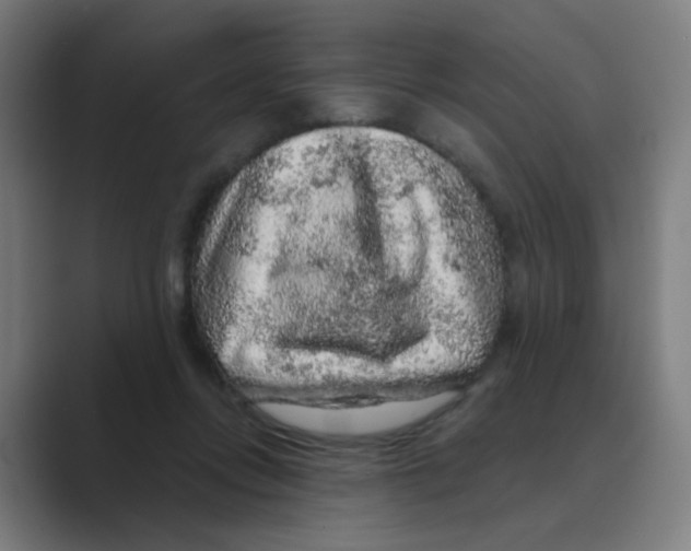 X0000088670358200706281926