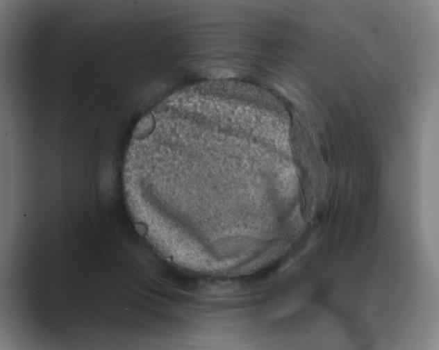 X0000088670359200706281926