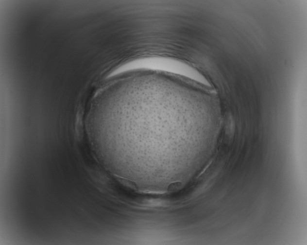 X0000088670360200706281926