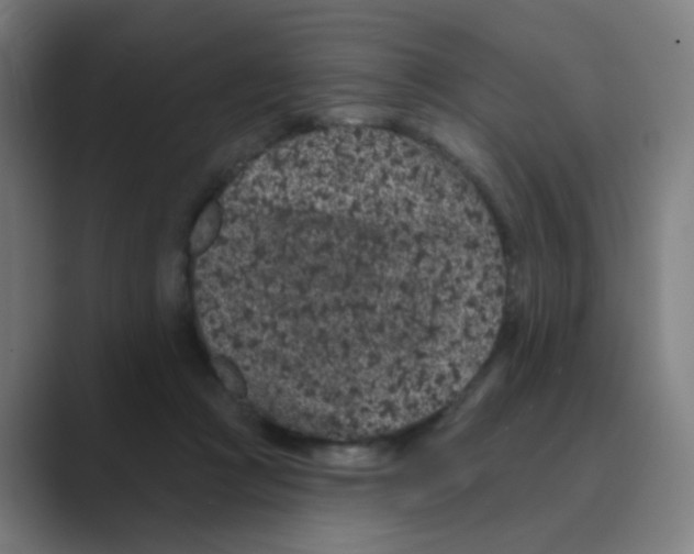 X0000088670361200706281926