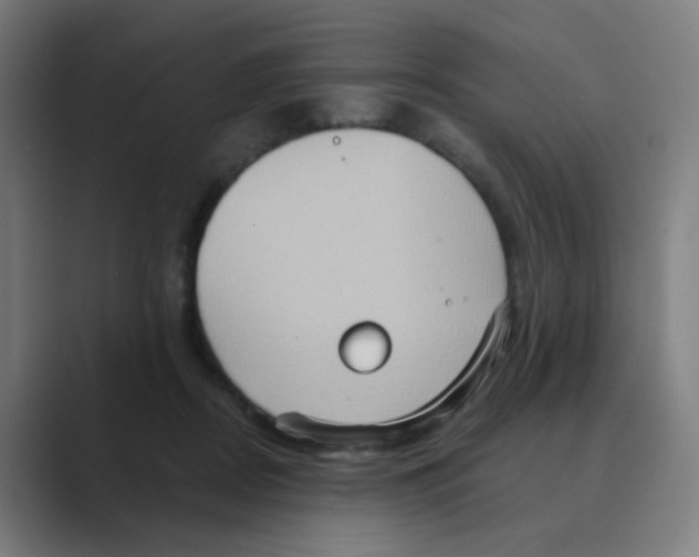 X0000088670362200706281926