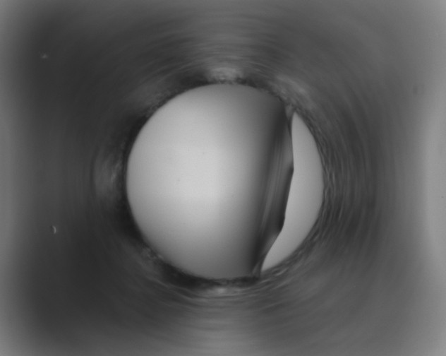 X0000088670364200706281926