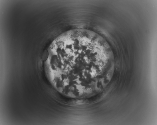X0000088670365200706281926