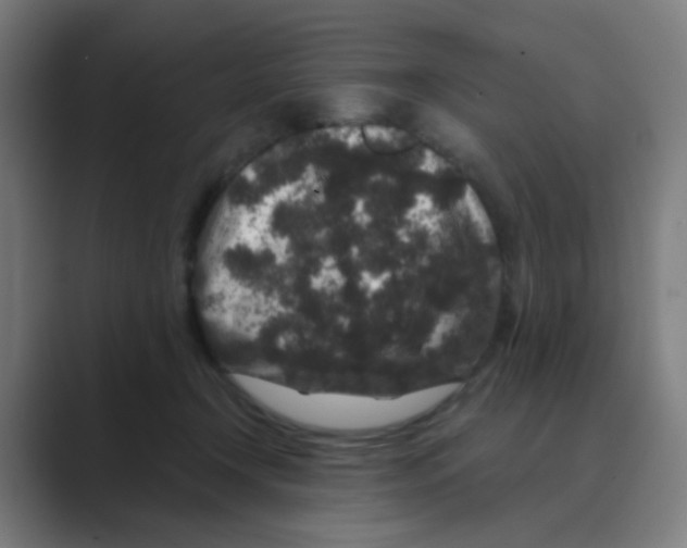 X0000088670366200706281926