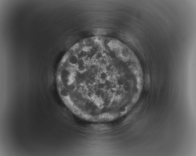 X0000088670367200706281926