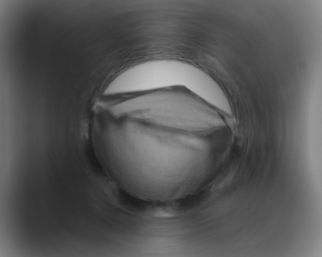 X0000088670368200706281926