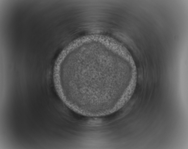 X0000088670369200706281926