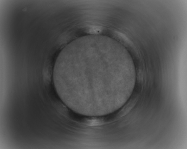 X0000088670370200706281926