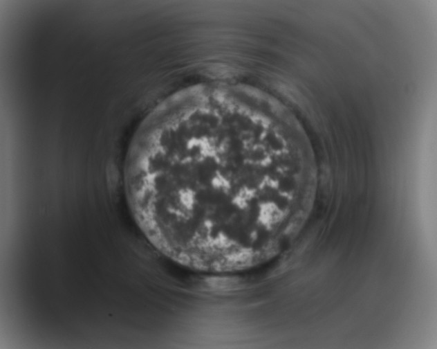 X0000088670371200706281926