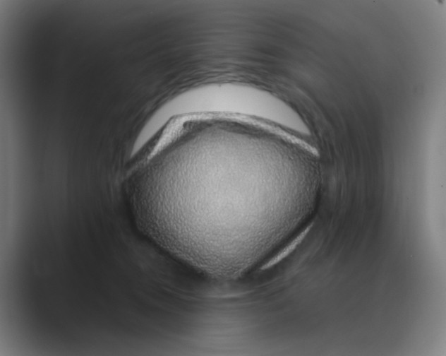 X0000088670372200706281926