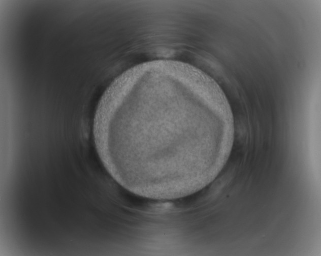 X0000088670374200706281926