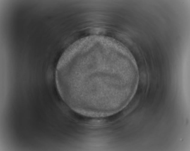 X0000088670375200706281926